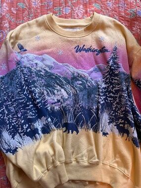NWT Urban Outfitters Washington sweatshirt!